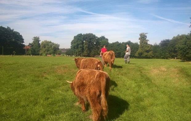 Farmářem na zkoušku - dvoudenní pobyt na statku + péče o zvířata