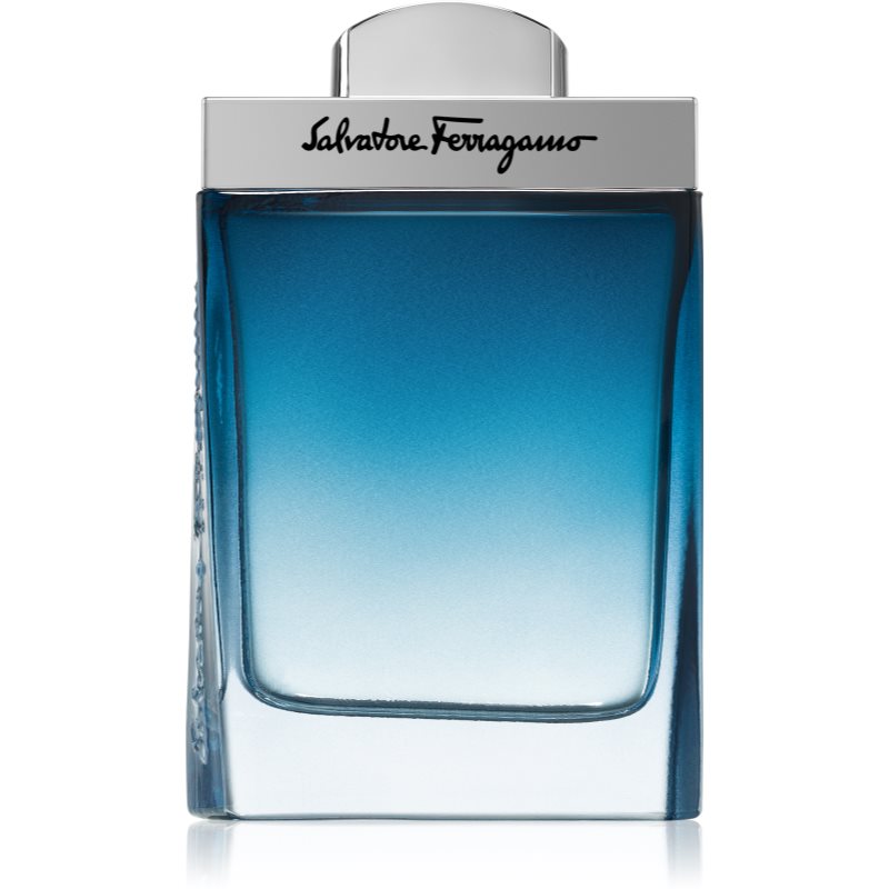 Sleva na Salvatore Ferragamo Subtil Pour Homme toaletní voda pro muže 100 ml - magentka.cz