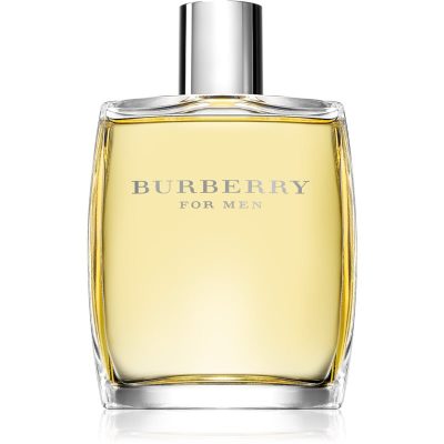 Sleva na Burberry Burberry for Men toaletní voda pro muže 100 ml - magentka.cz