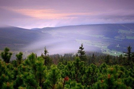 Pytloun Wellness Hotel Harrachov