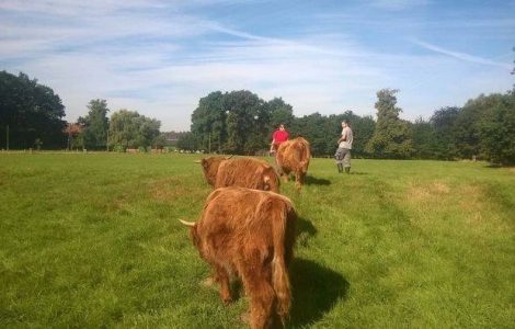 Farmářem na zkoušku - dvoudenní pobyt na statku + péče o zvířata