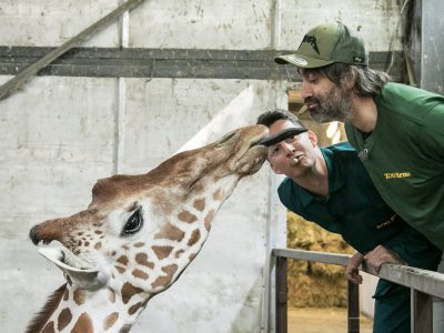 Ošetřovatelem v ZOO